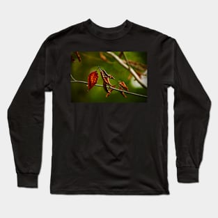 Dry Red Leaves Long Sleeve T-Shirt